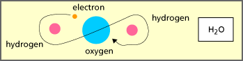 molecule