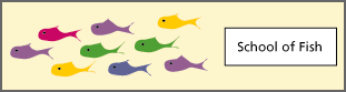 school of fish