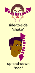 nod and shake