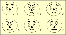 six faces