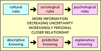 social rules complex