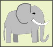 elephant